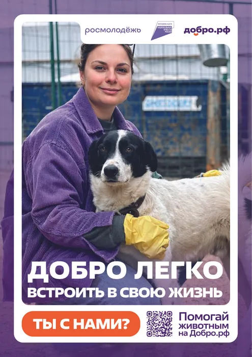 плакаты3-01