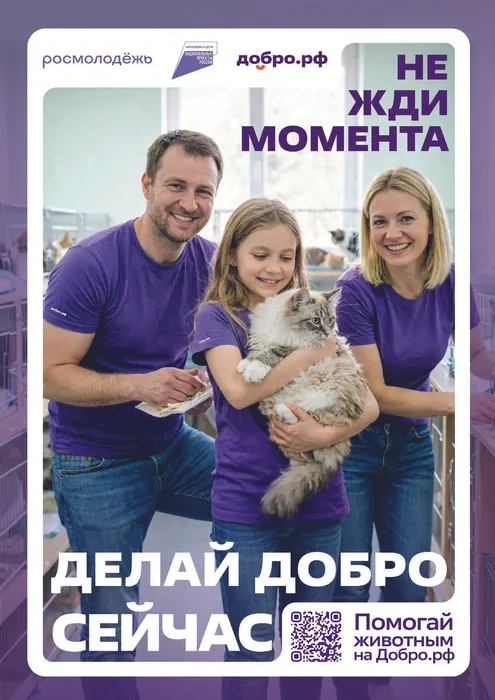 плакаты5-01